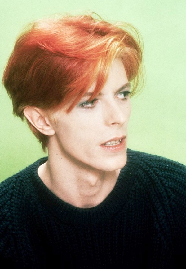 bowie