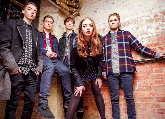 marmozets