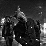 15875902_233414290432865_4713850366842634240_a