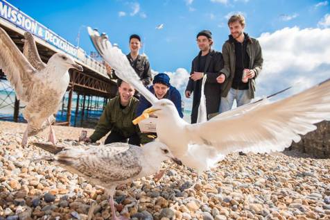 YOWL Lindsay Melbourne